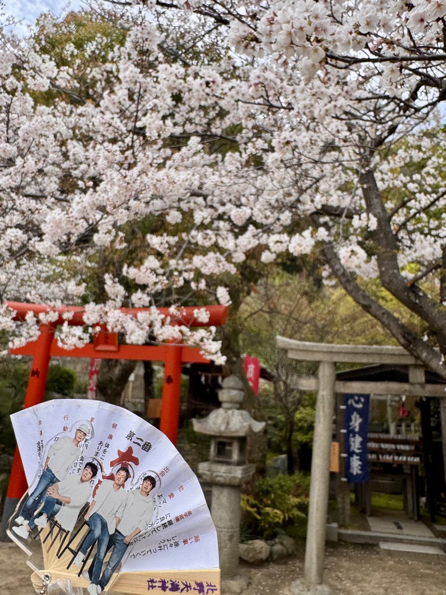 maaaaay0226's tweet image. 神戸〜⚓️
めちゃくちゃ楽しかった🙌
🌸も見られた❣️

前田さんお話も絶好調🤣👏面白かったー！

春さんが「前ちゃんが…」と話し、前田さんが「春畑…」と名前呼ぶの聞くたびにキューンとします😍

あの曲を聴いてた頃…40周年のツアーで涙する未来なんて想像もしてなかったです🥹
#TUBE 大好き🤟感謝