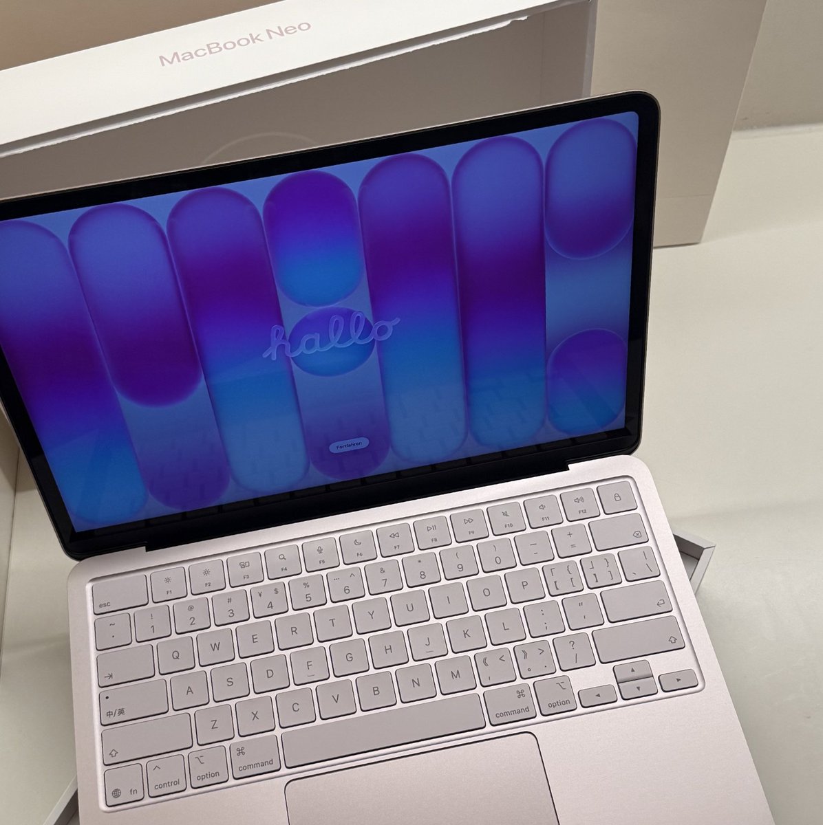 ʀ ᴀ ᴡ ᴀ ɴ tweet media