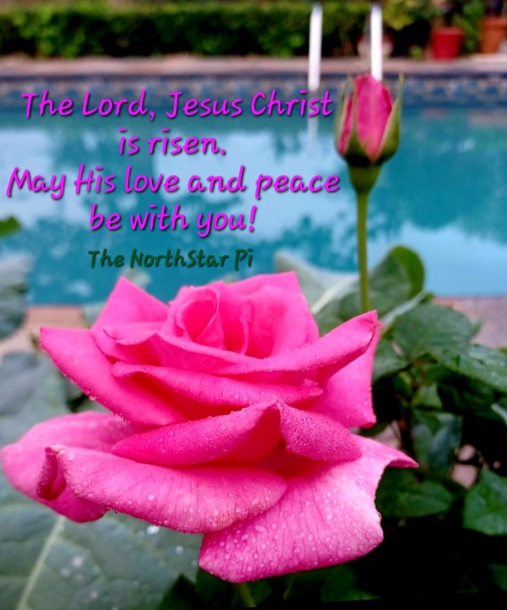 The Northstar Pi tweet media