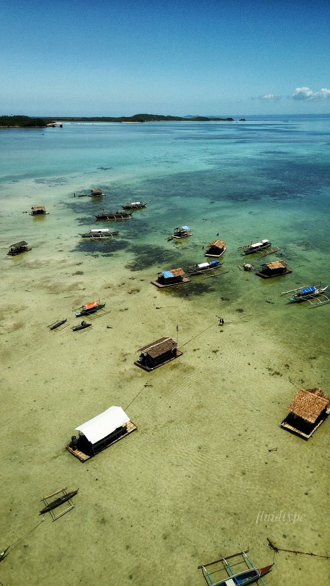 𝔇𝔢𝔢 tweet media