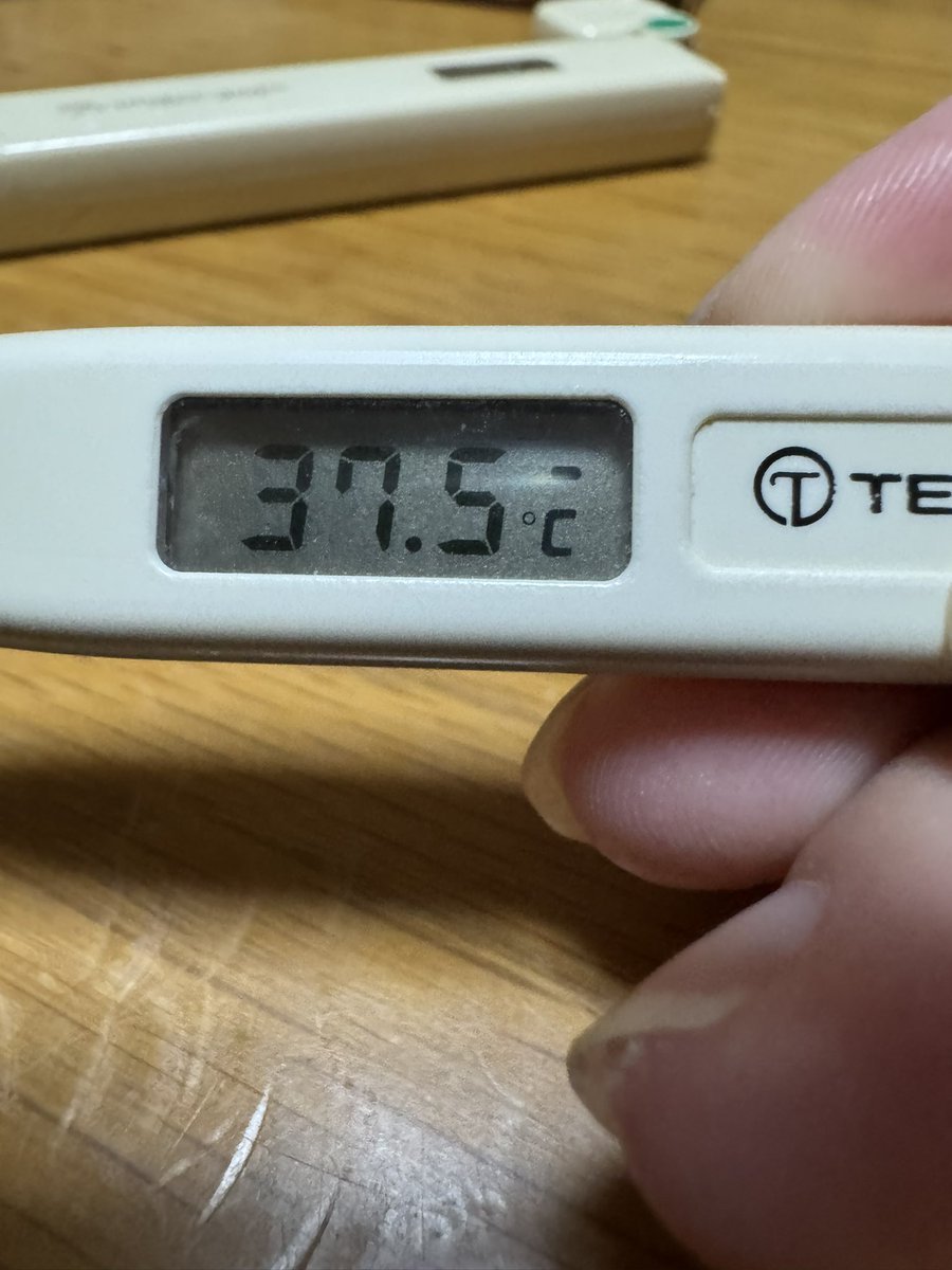 しぇりんこ💎 tweet media