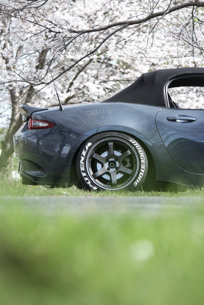 ﾘｭｰｲﾁ tweet media