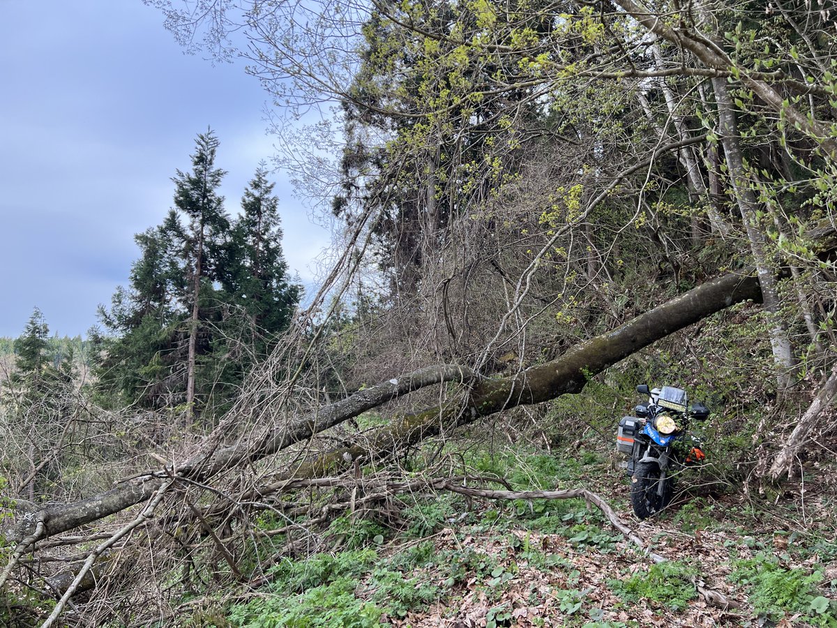 けみこ tweet media