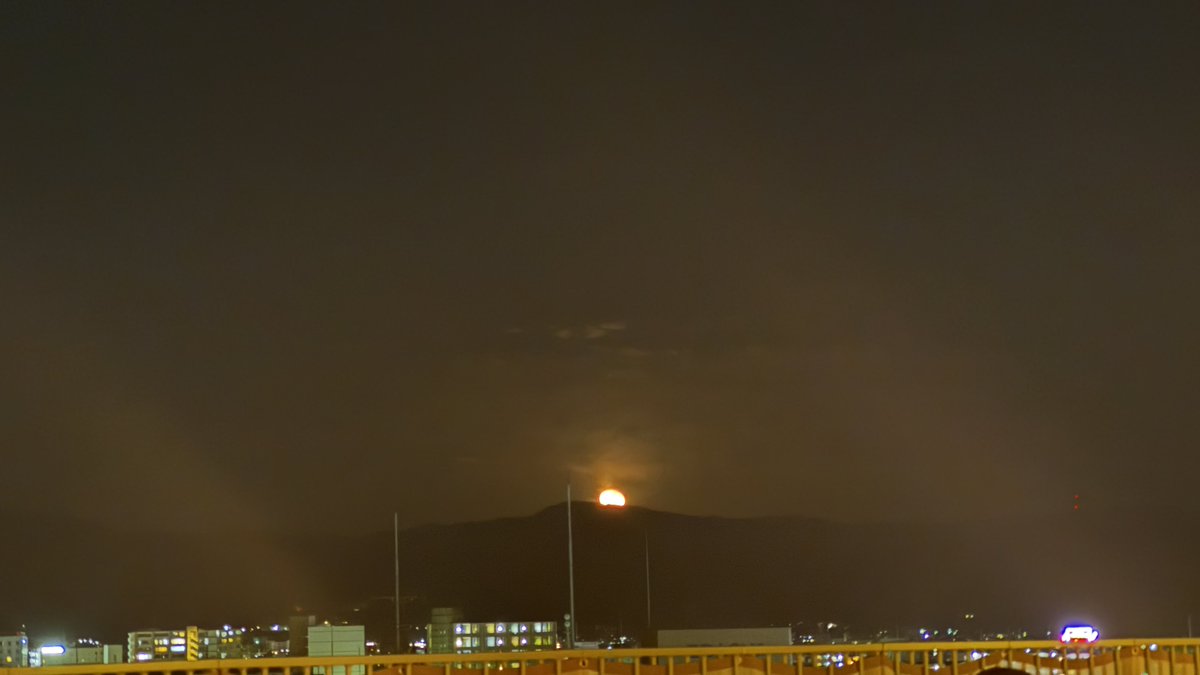 もしぇ tweet media