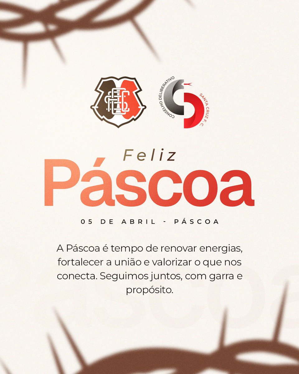 Conselho Deliberativo - Santa Cruz tweet media