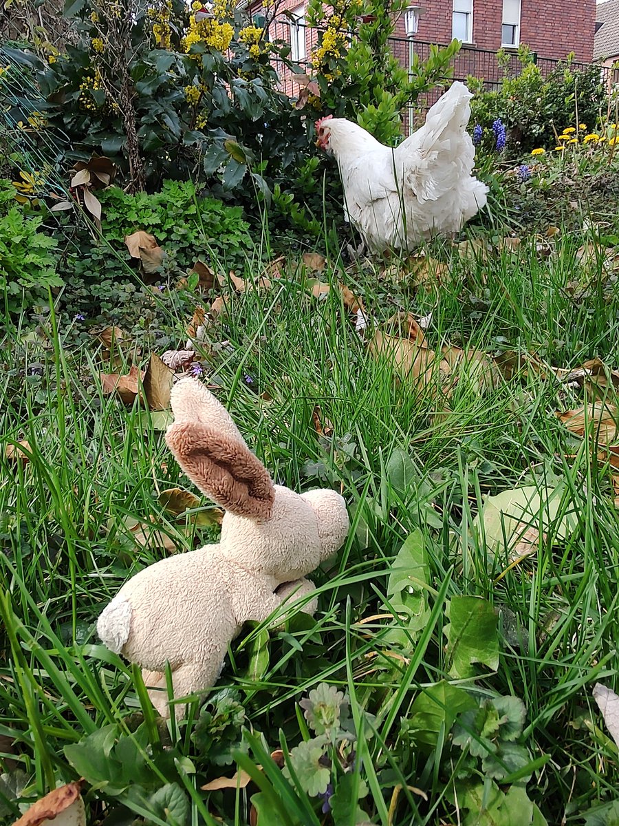 Eumenides Verrat tweet media