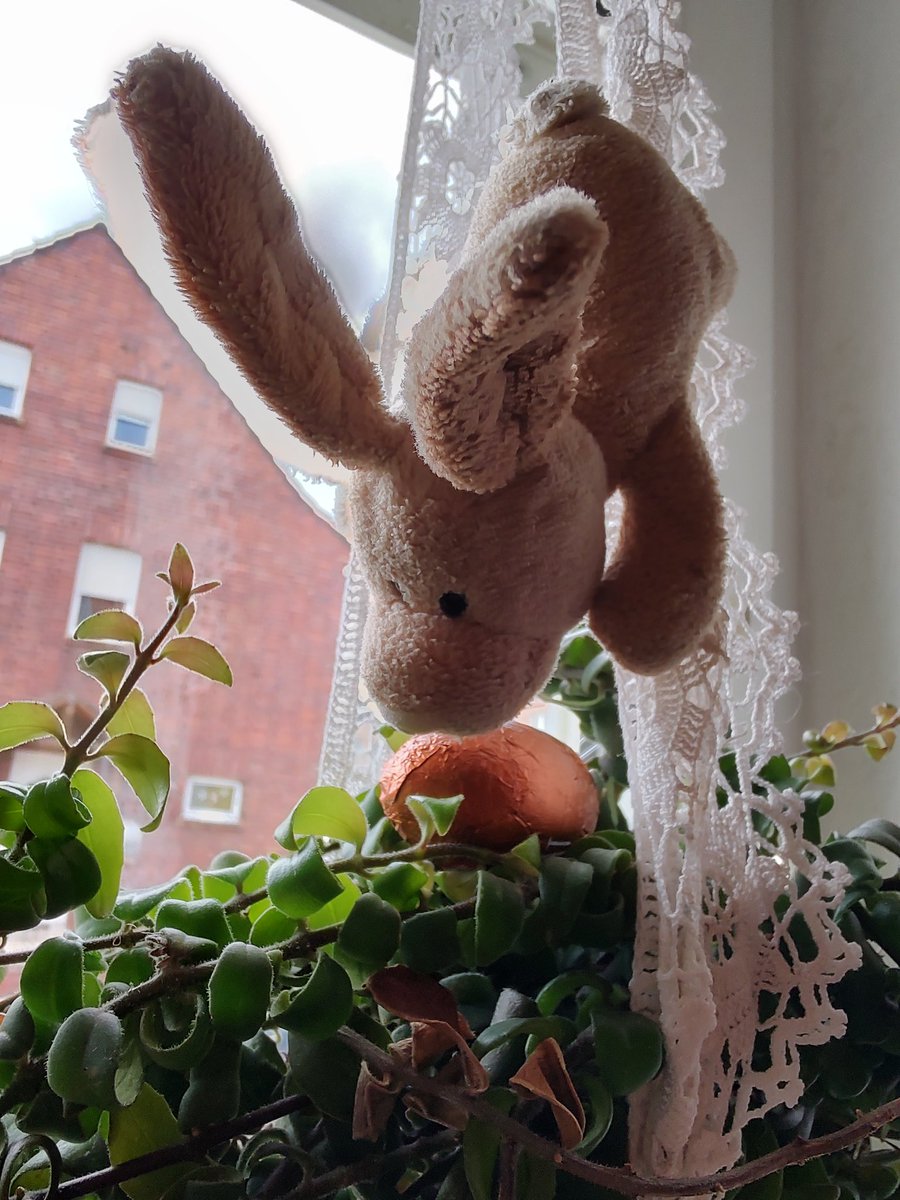 Eumenides Verrat tweet media