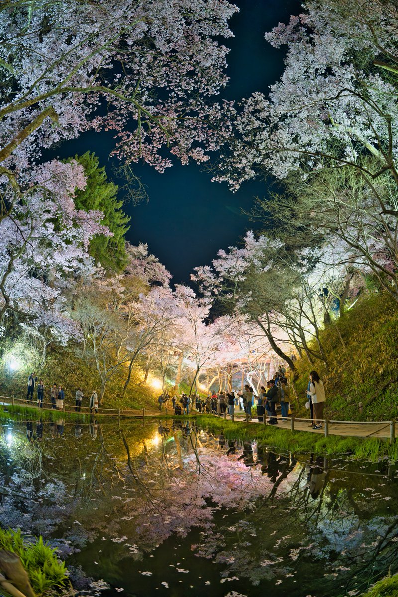 んなぁちゃん tweet media