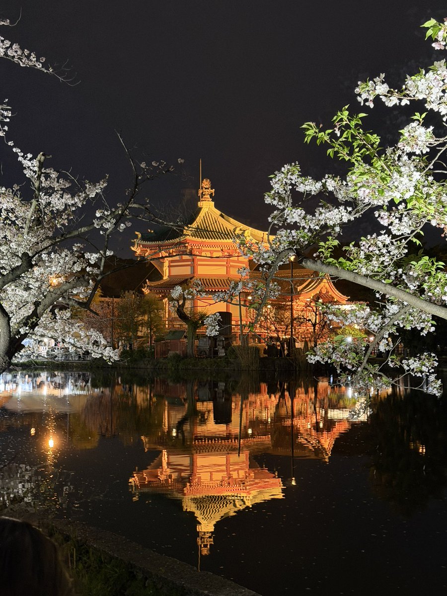 SUJIKO BOMB tweet media