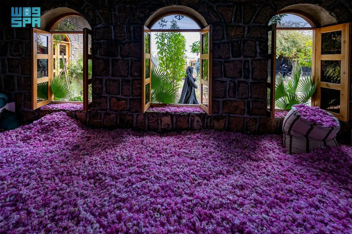 spafr4's tweet photo. Les fermes de rose de Taif enregistrent une production abondante cette saison.
https://t.co/oTuTHbiXoa
#SPAGOV https://t.co/KuJlGuNNCK