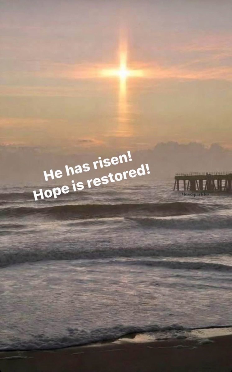 Hot Mess and Sparkles tweet media