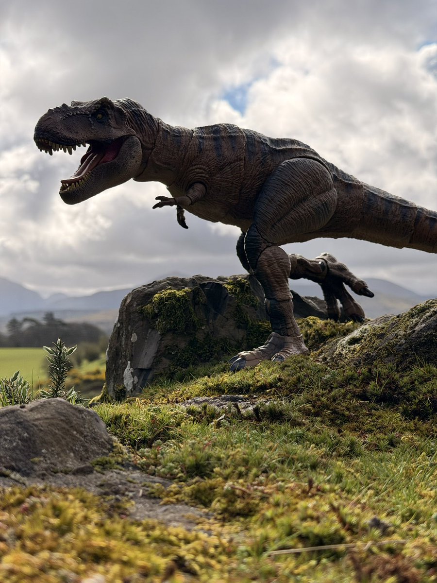 Gavin (@gav_gavo) on Twitter photo 