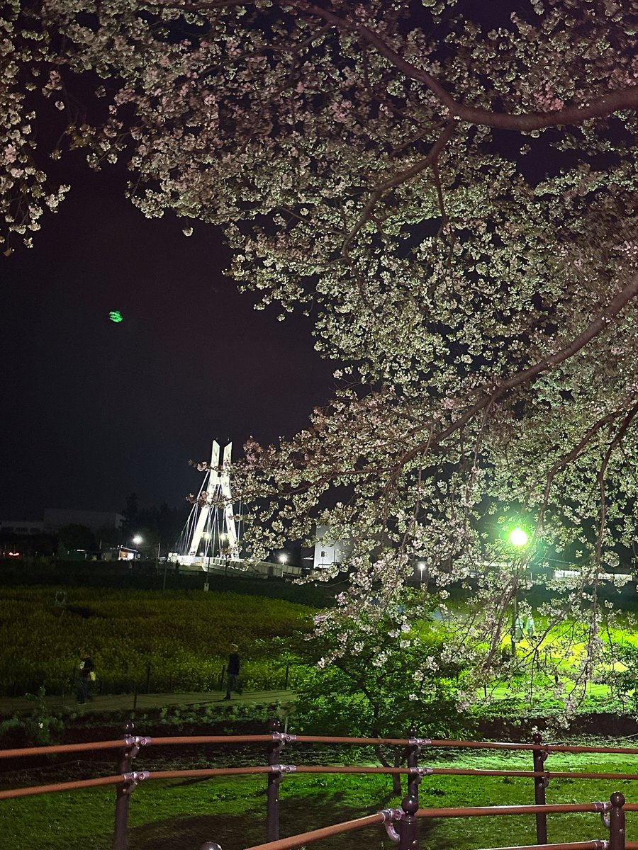 みゆき5ଘ❤︎ଓ愛 tweet media