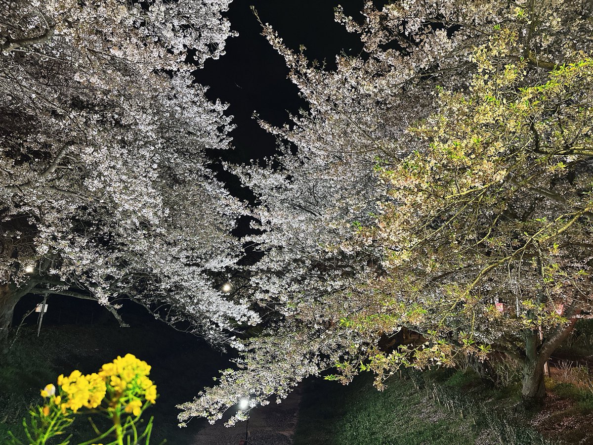 みゆき5ଘ❤︎ଓ愛 tweet media