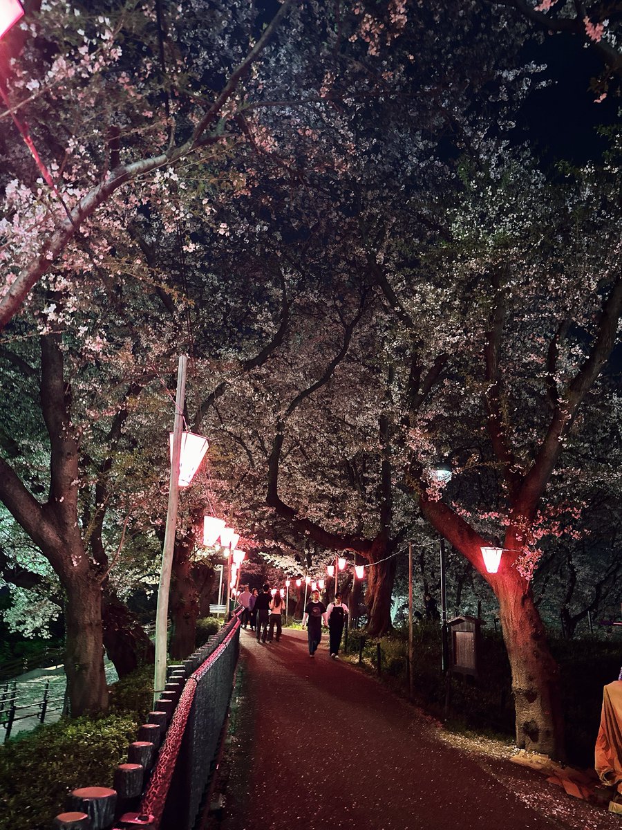 みゆき5ଘ❤︎ଓ愛 tweet media