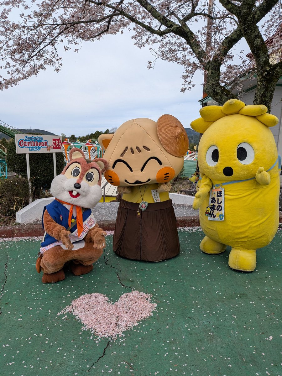Tomoko Shimizu tweet media