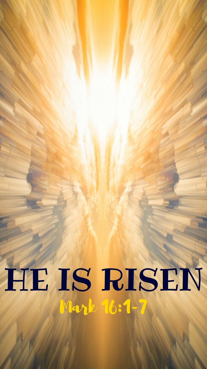 RedTXTrish tweet media