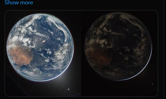 Dustin Nemos tweet media