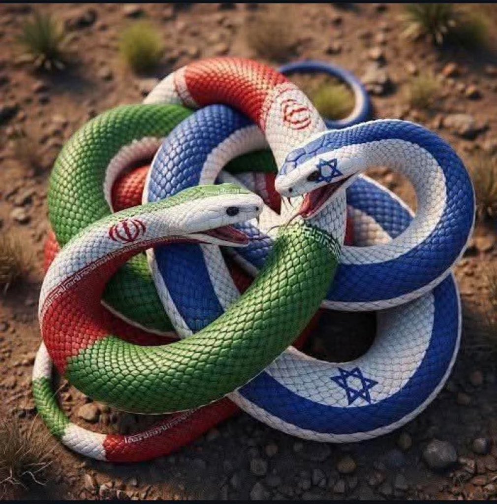 Ambassador Mojo 🇸🇦 tweet media