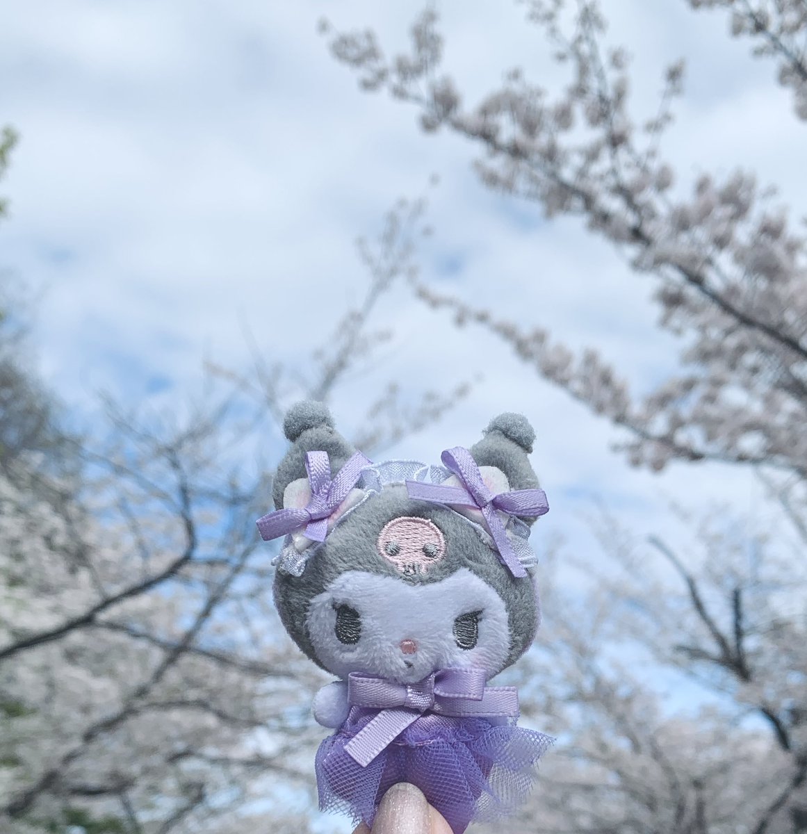 ✦ 8 号 室 ✦ tweet media