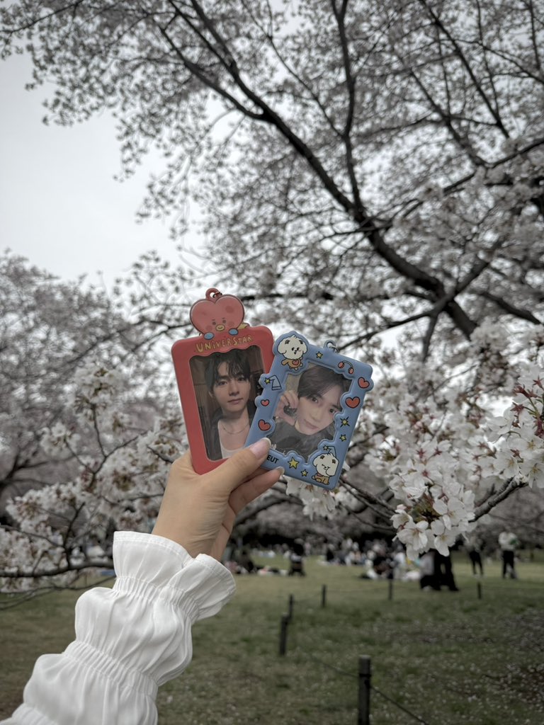 𝘴𝘶𝘻𝘶𝘮𝘪_0313 tweet media