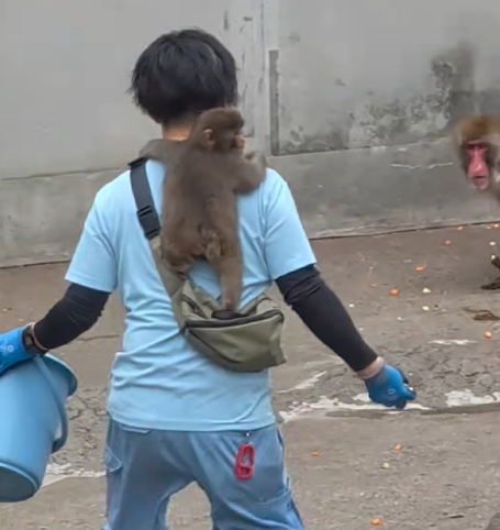 พันช์คุงใช้เท้าข้างนึงเหยียบกระเป๋าคุณชุมเปไว้ สองมือก็เกาะไหล่ น่ารักกกกกกกกกกก ☺️