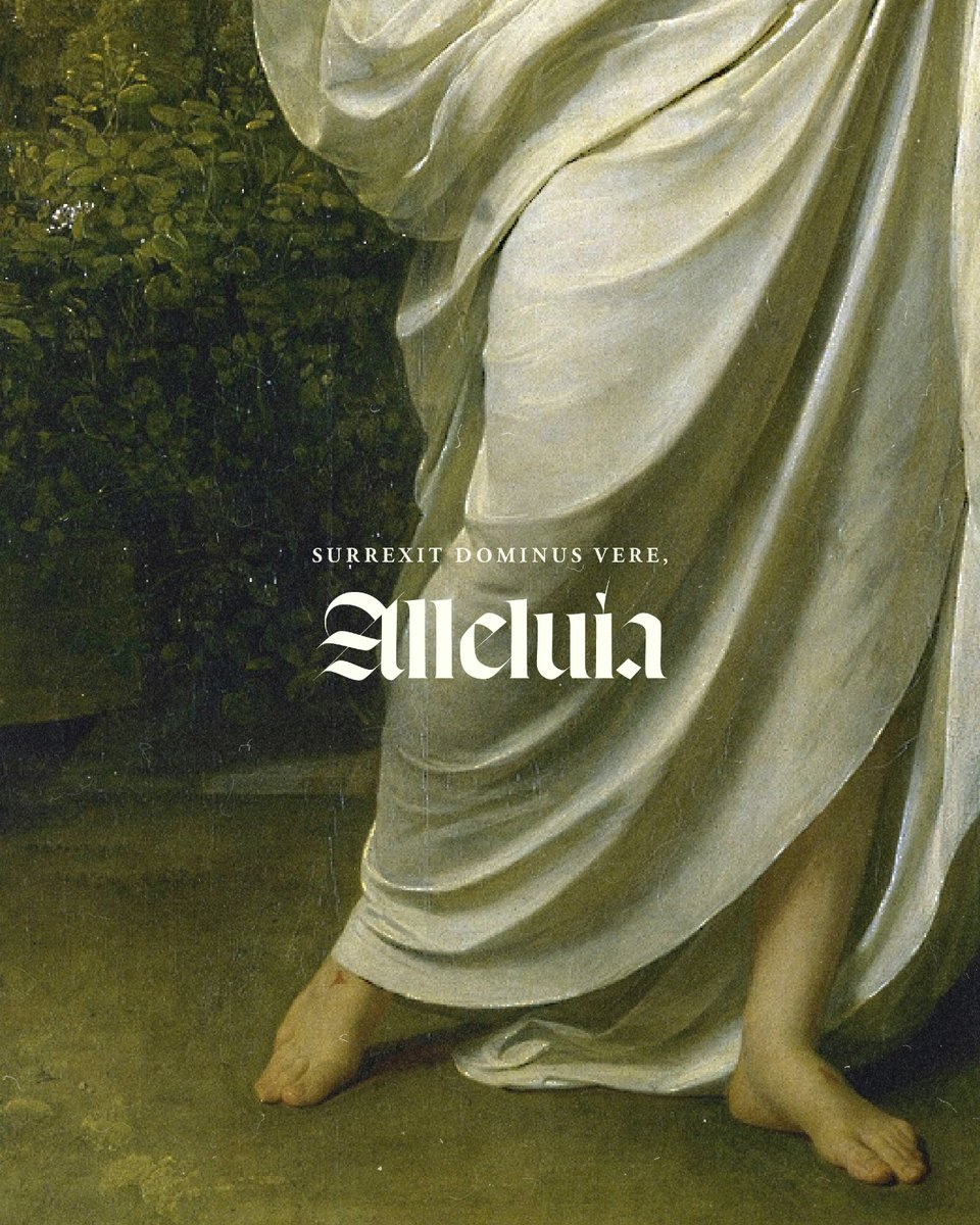 Word on Fire tweet media