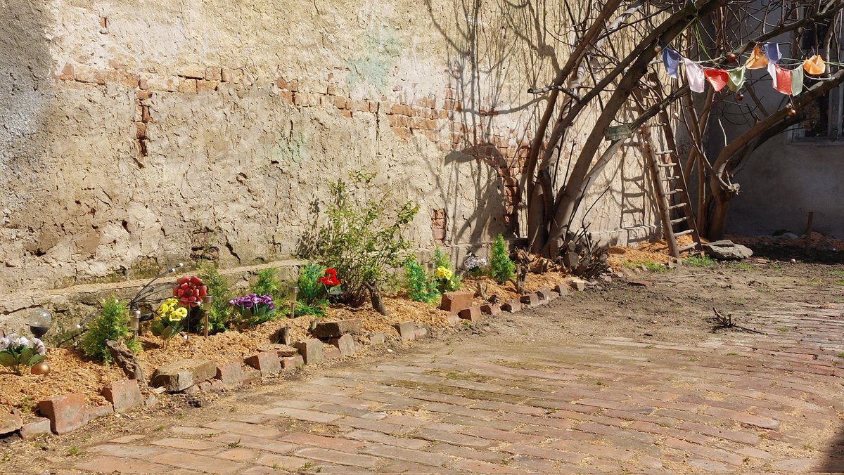 𝓐𝓻𝓲𝓪𝓷𝓪 𝓢𝓽𝓪𝓶 tweet media