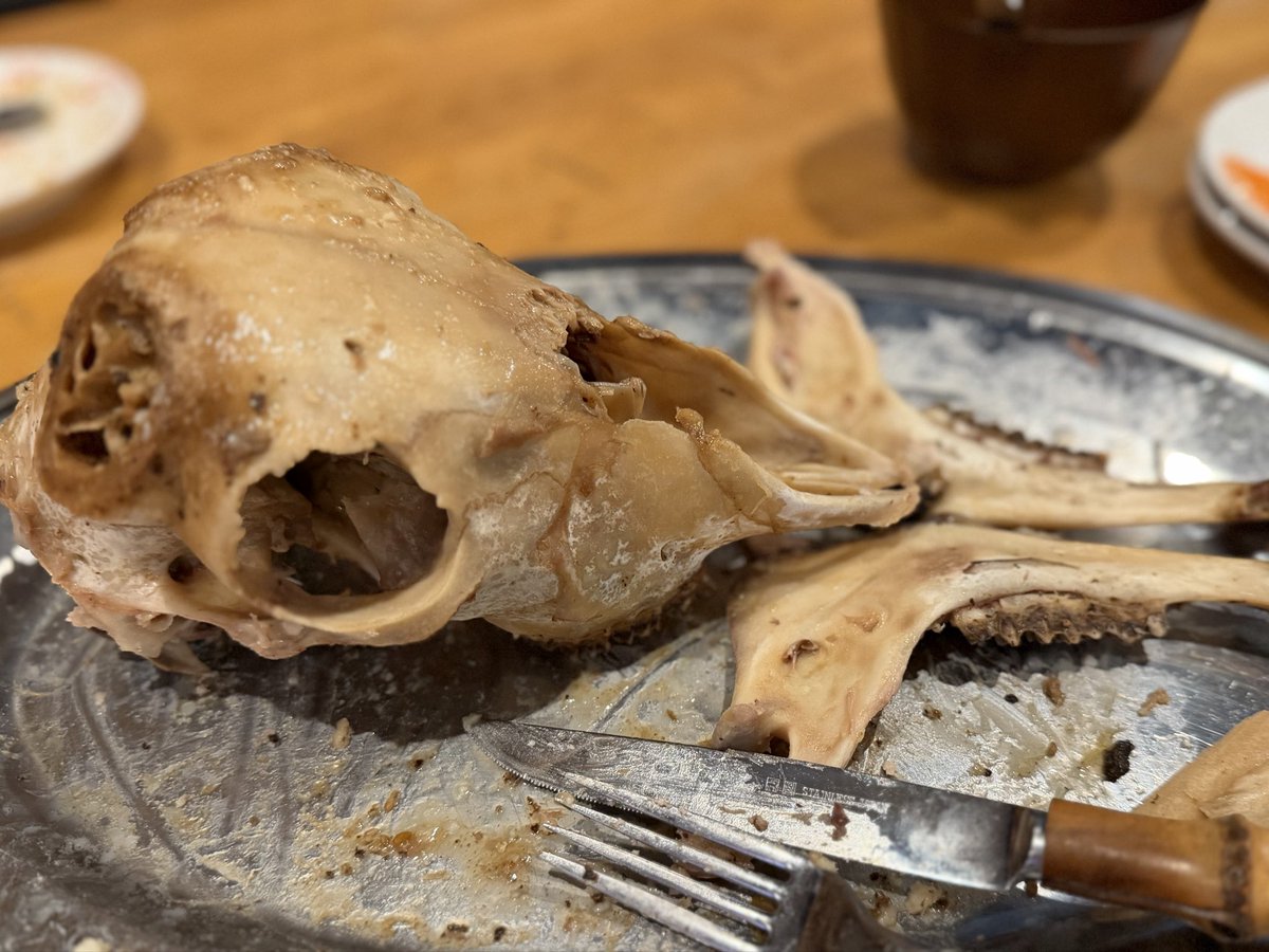 佐野まいける tweet media