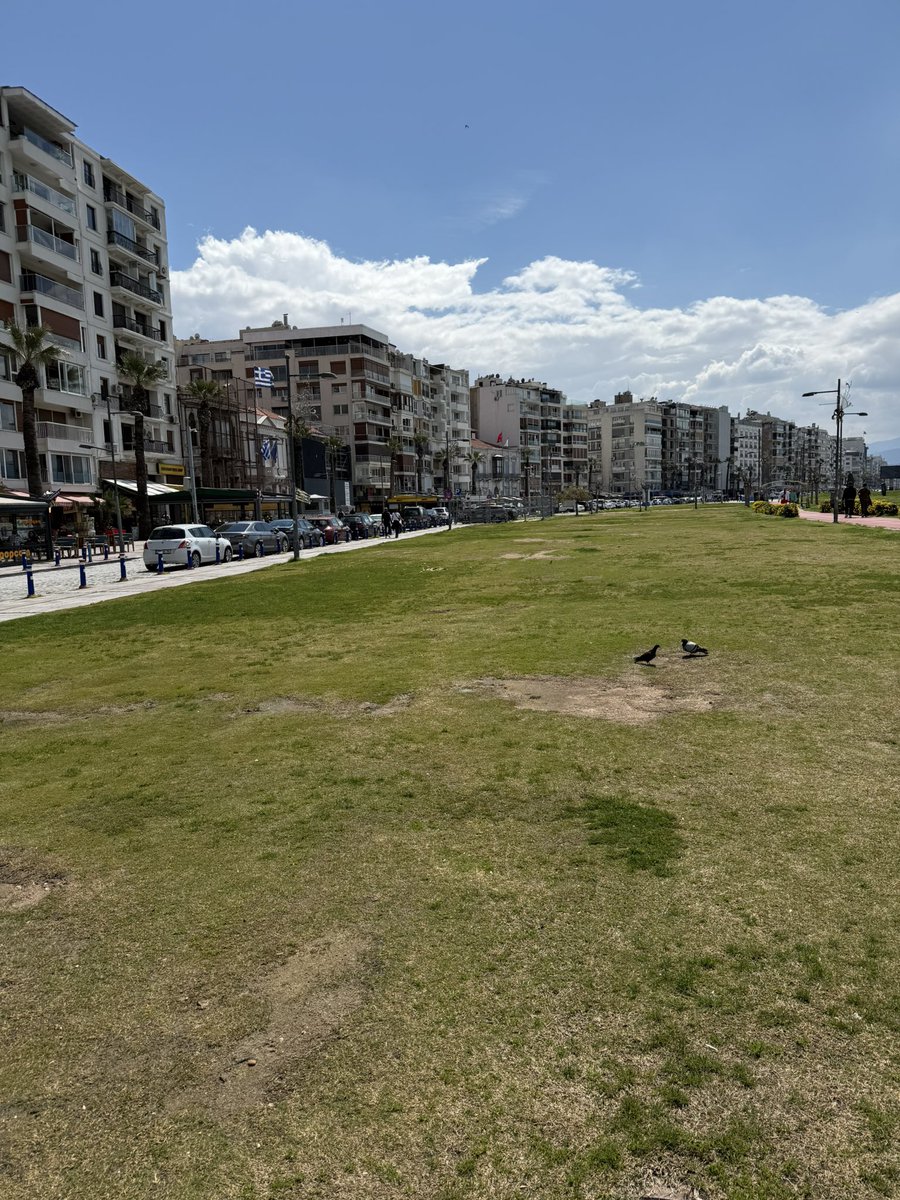 Emre Degirmenci tweet media