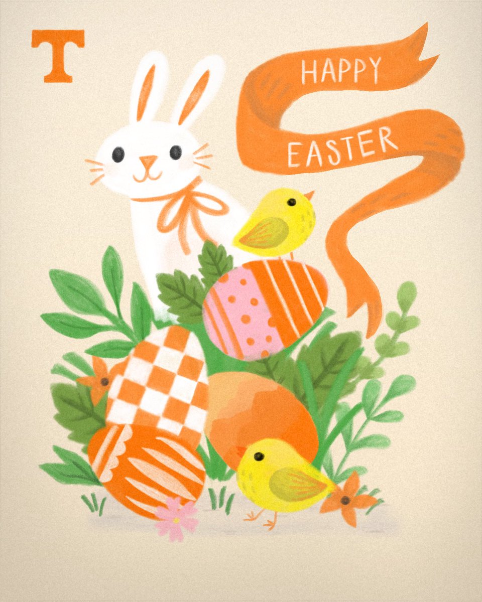 Tennessee Baseball tweet media