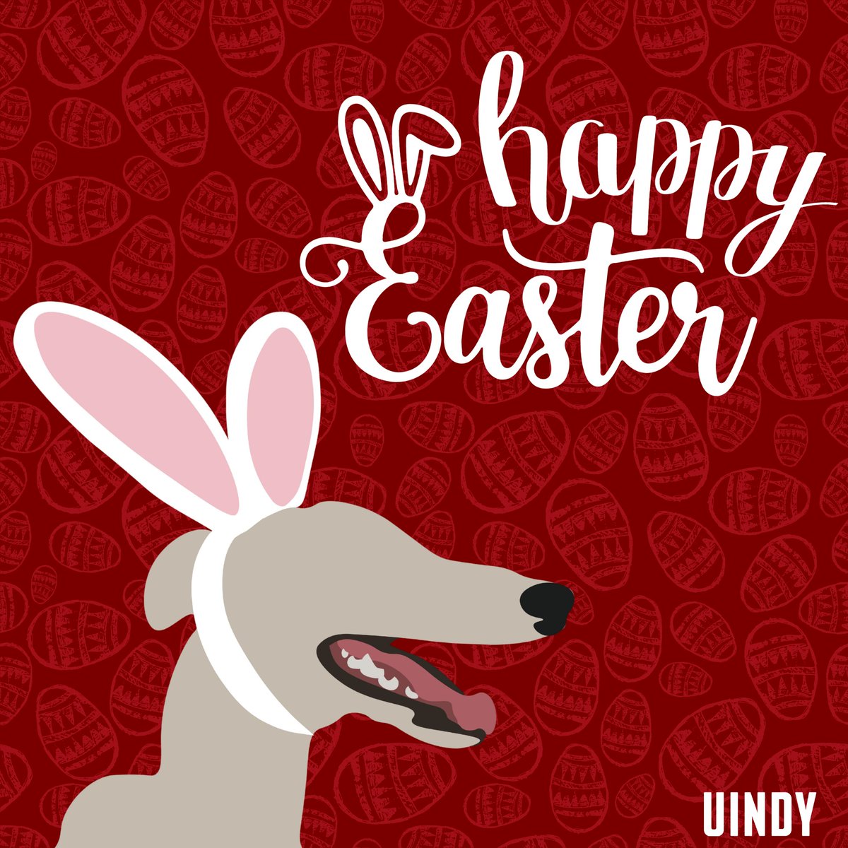 University of Indianapolis tweet media