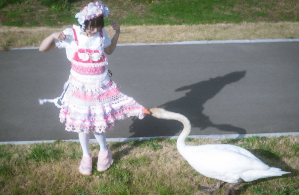 gomenneko tweet media