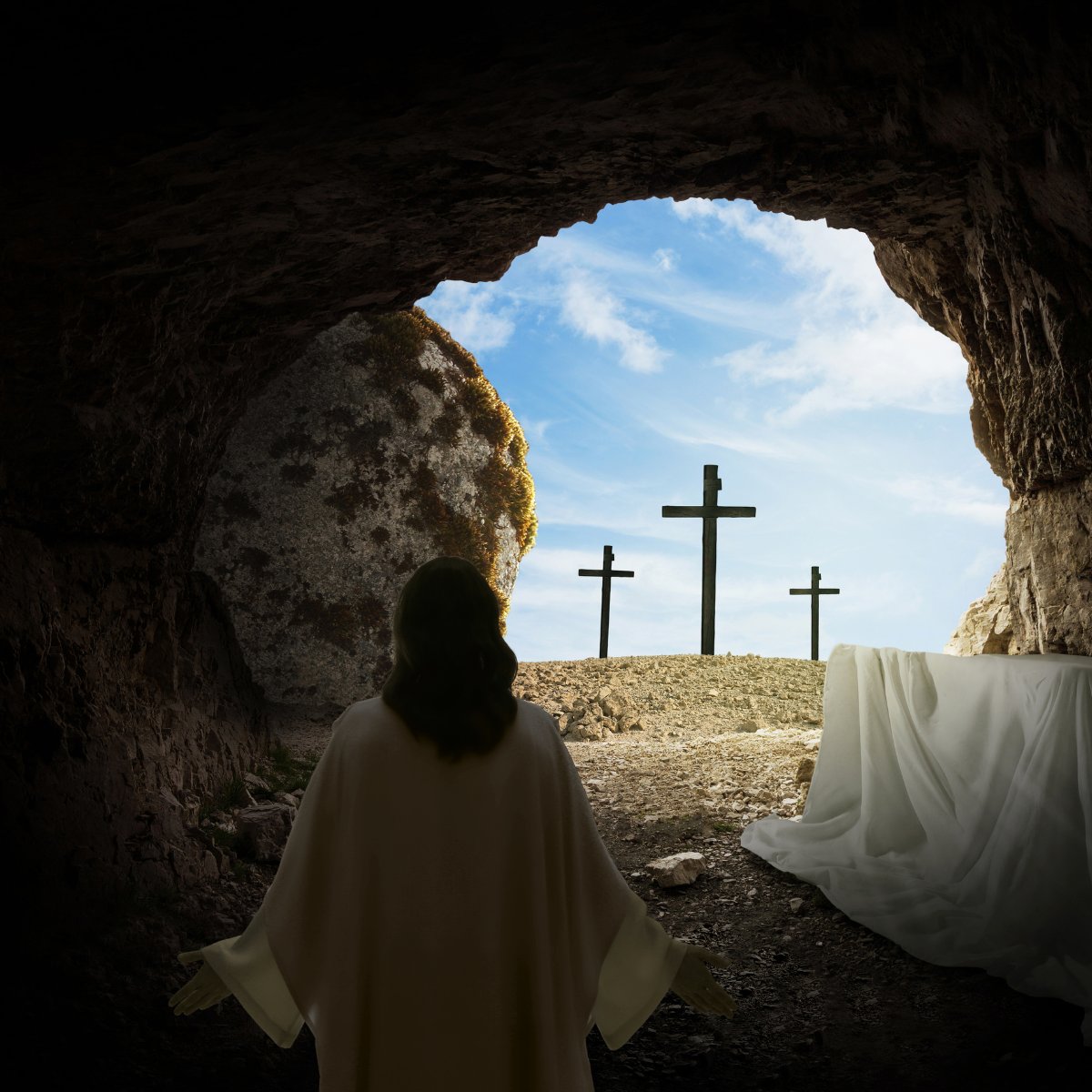 RCO Engineering Inc. tweet media