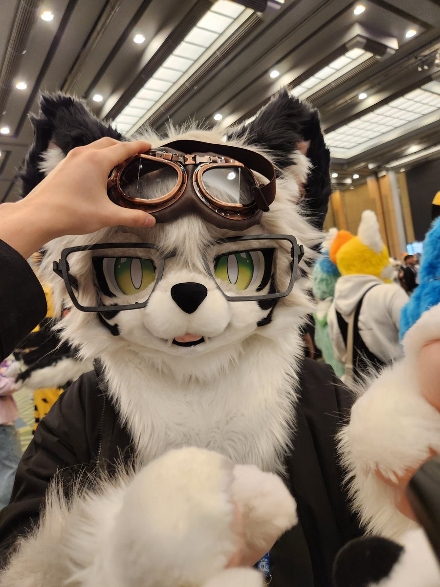 Ddang_f's tweet image. #firstclass
X.X