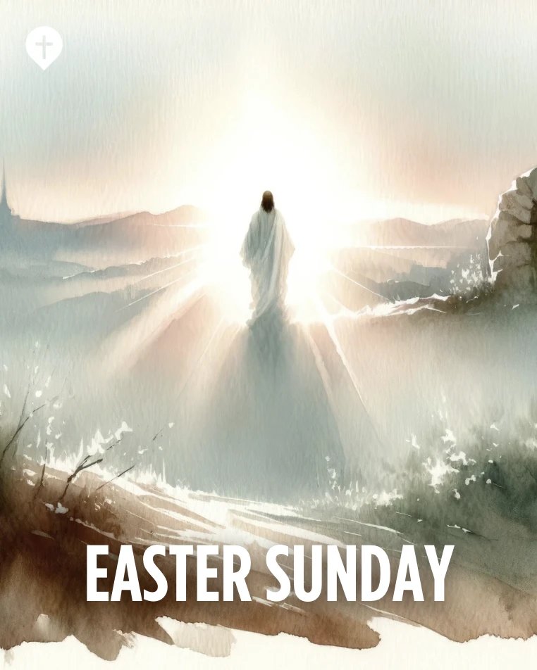 Denver Catholic tweet media