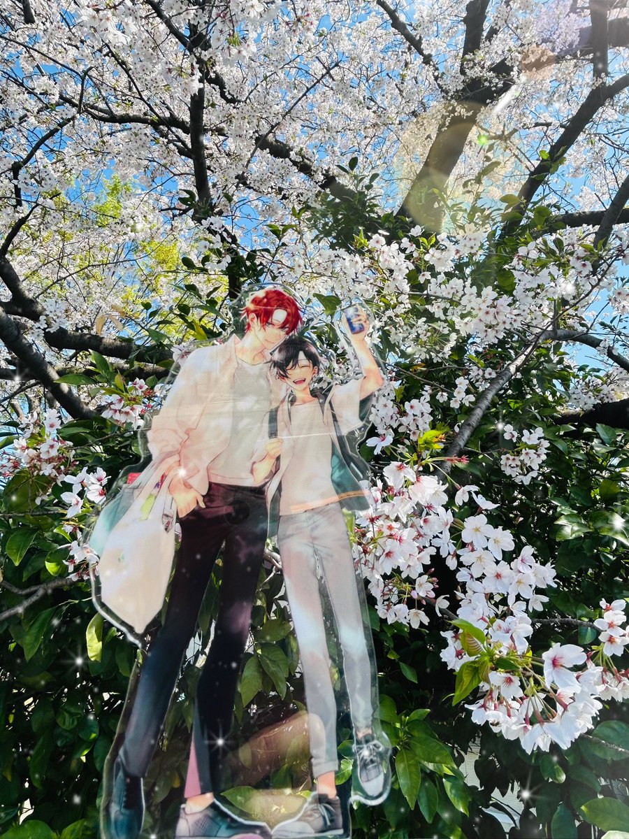 sasameyuki222's tweet photo. 念願のアクスタデートです♡
今年はタイミングが合わなくて数日前にやっと行けました♪

「桜、きれいですね♪
春が来るとお酒も進みます♪」
「由美は季節関係なくお酒進むんじゃ…」
「え？なんですか？」
「なんでもない、ほら転んじゃうから足元気をつけて」

なんて感じで腰に手を回す秀鳴 https://t.co/geiwIBezEV