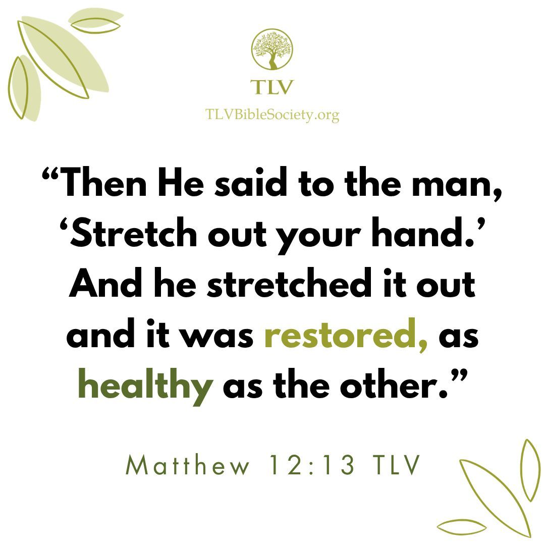 TLVBibleSociety's tweet image. "Then He said to the man, 'Stretch out your hand.' And he stretched it out and it was restored, as healthy as the other." Matthew 12:13 TLV

#verseoftheday #votd #scripture #bibleverse #tlvbible