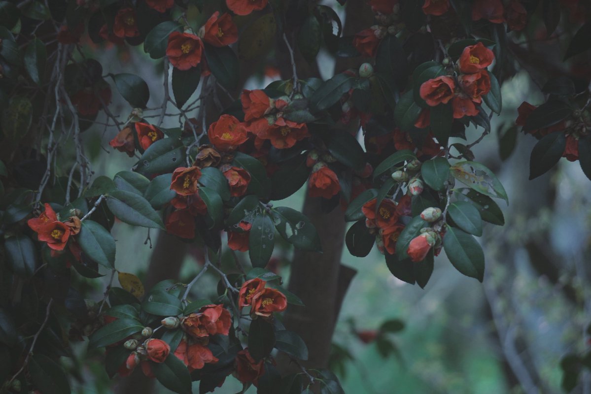 🦭💨 tweet media