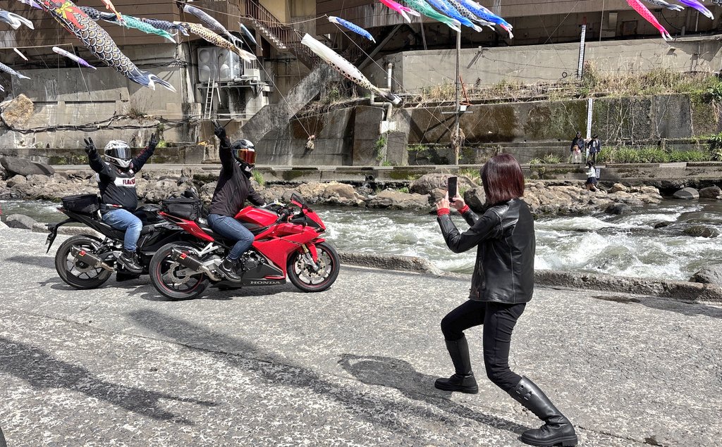 nico ringo🍎 tweet media