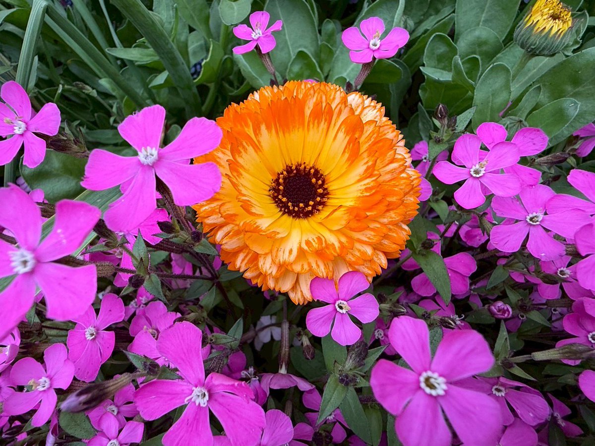 とも☻✧*｡ tweet media