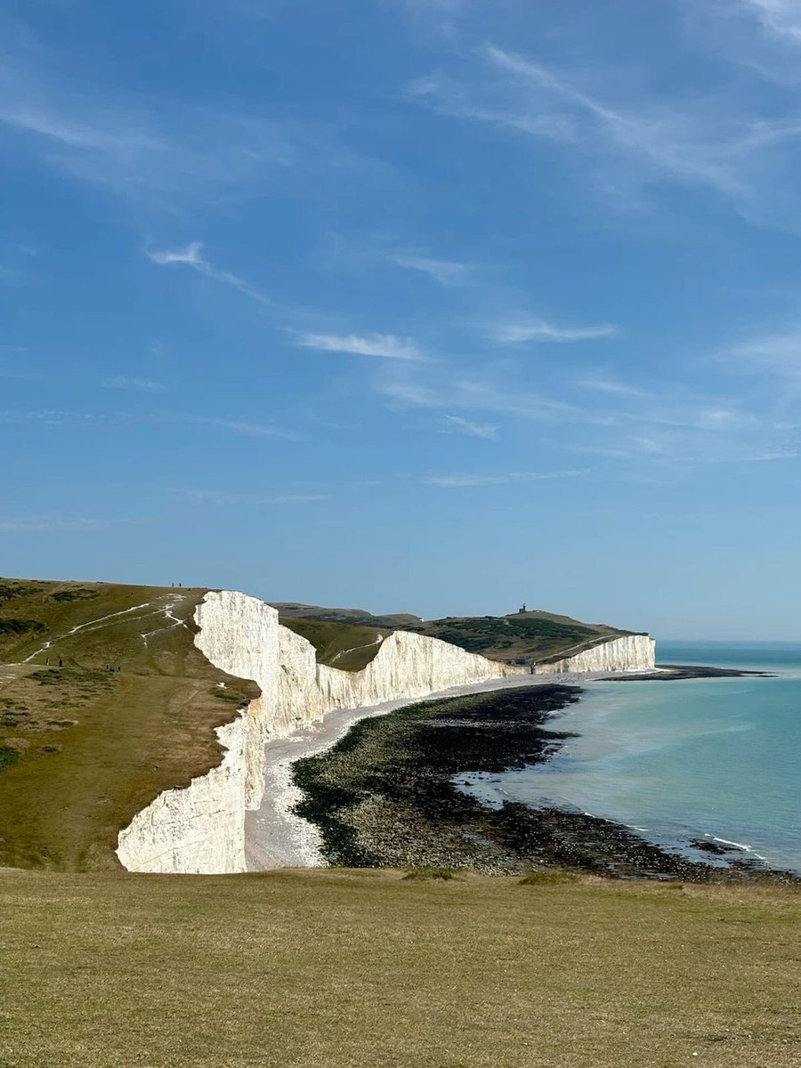 vistaaura tweet media