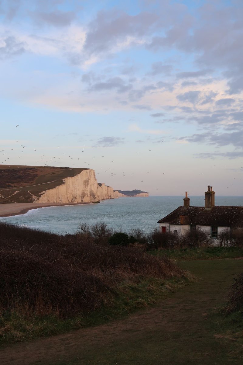 vistaaura tweet media