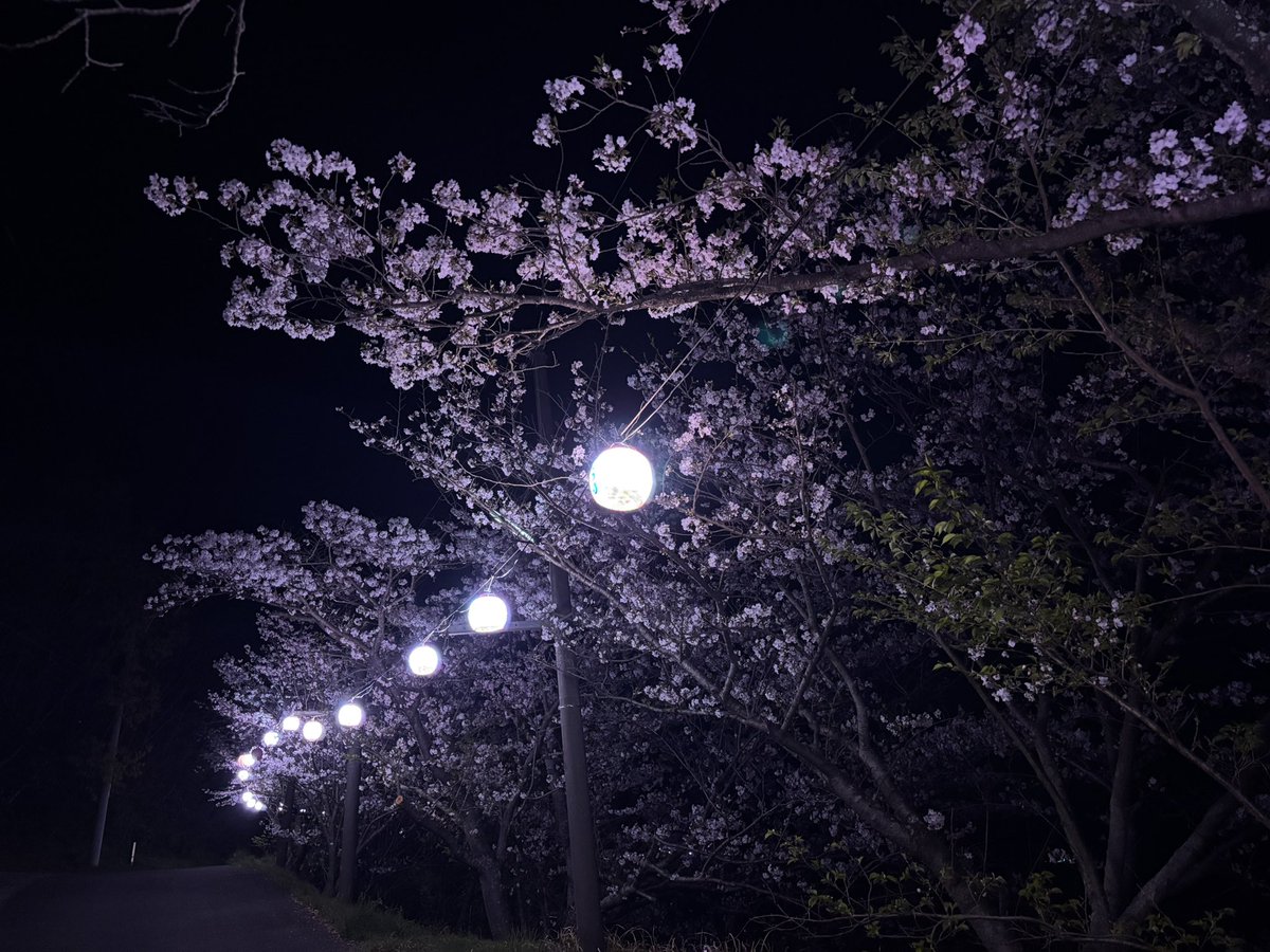 よしゆ tweet media