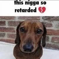 🌚UMAR tweet media