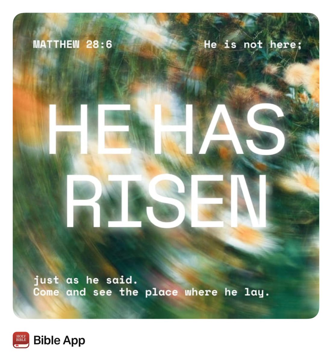 Jason Reynolds tweet media