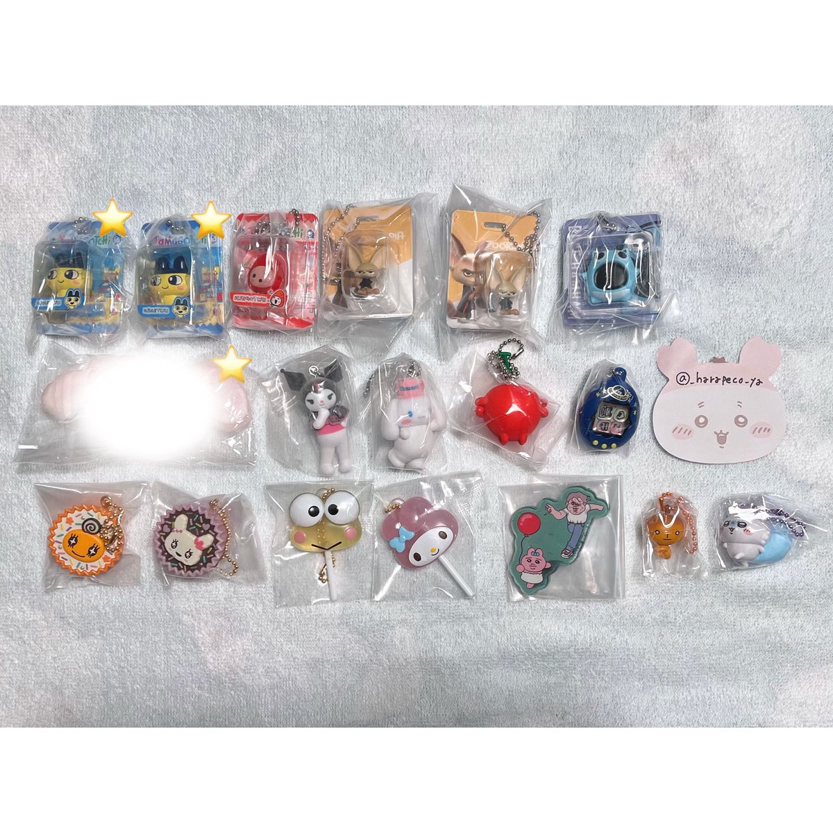 はらぺこ。 tweet media