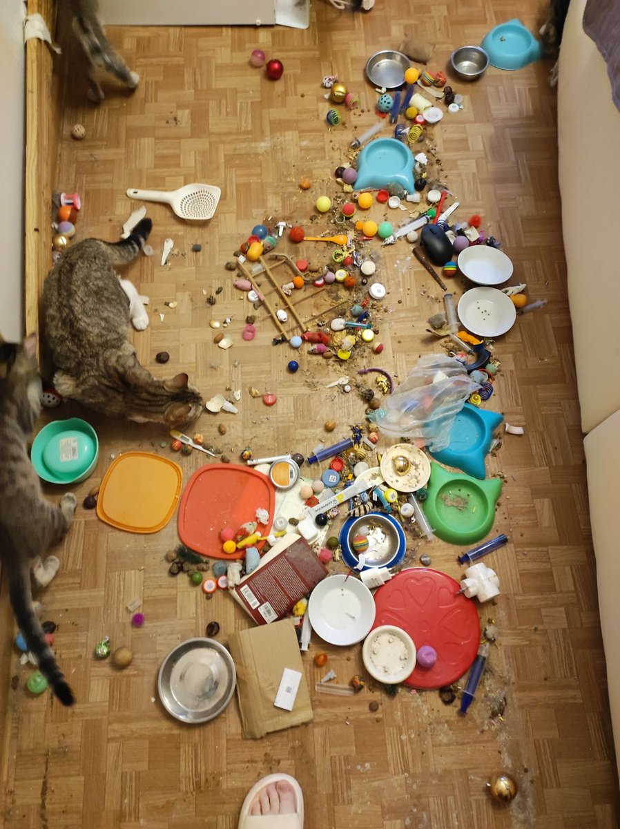 странствующий маг-барахольщик tweet media