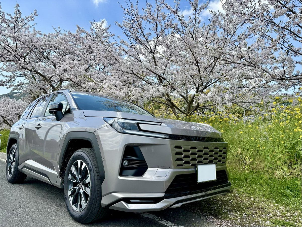 RAV4ARKW's tweet photo. 登山からのお花見
休日を全力で謳歌できました
登山道具、花見道具を友人たちの分まで詰め込んでもなお余裕のある荷台で助かった

#新型RAV4 https://t.co/DCzmmZI3ev