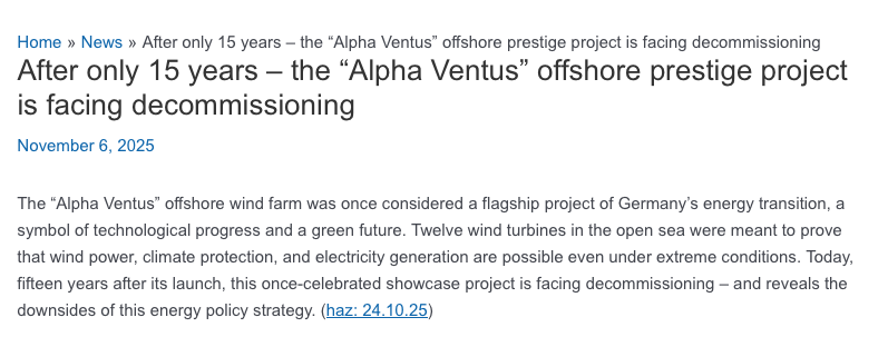 Mesalina tweet media